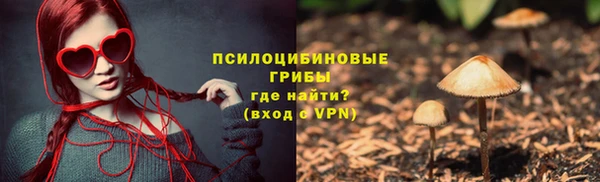 мяу мяу мука Алексин