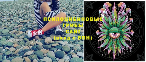 сатива Алексеевка