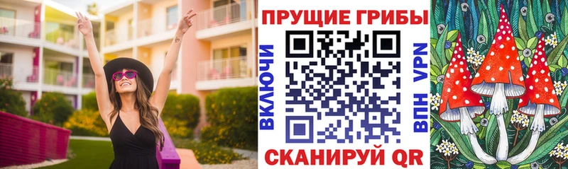 где найти наркотики  Богородск  Псилоцибиновые грибы мицелий 
